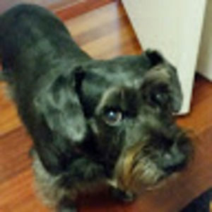 Meet your Posher, Robyn